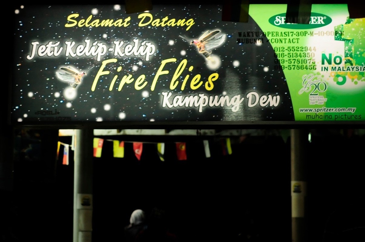  Kelip-kelip Kampung Dew