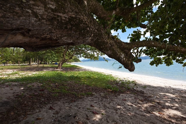 Teluk Senangin