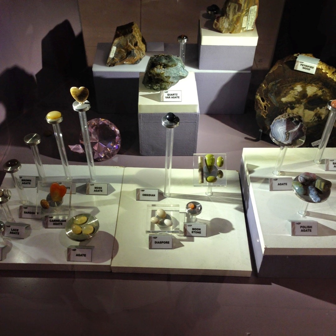 Muzium Geologi